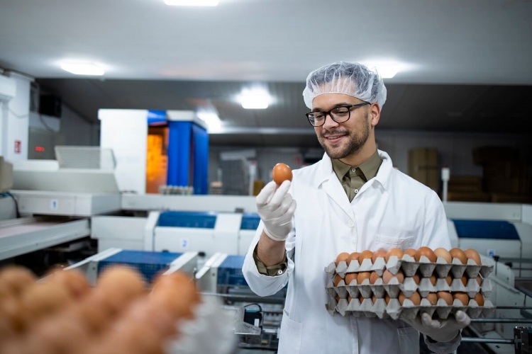 Vacature Teamleider Brekerij