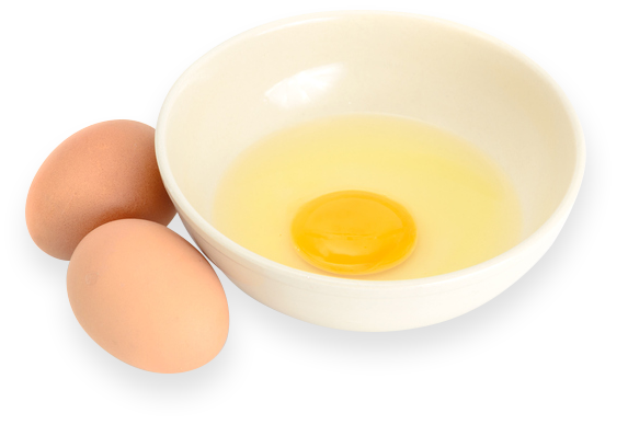 Egg Liguids