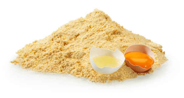 Egg Powders
