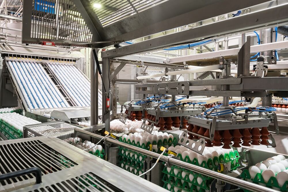 eiproducten van Wulms Egg Group